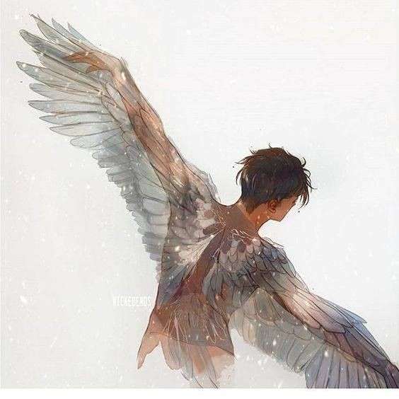 Bird5k