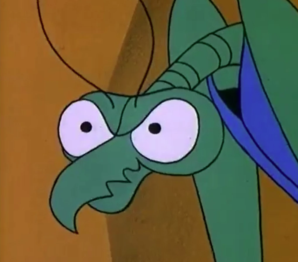 Squid
