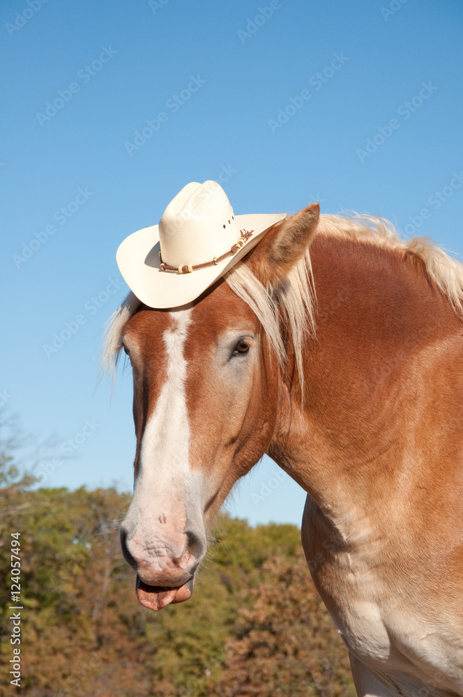 WholeHorse