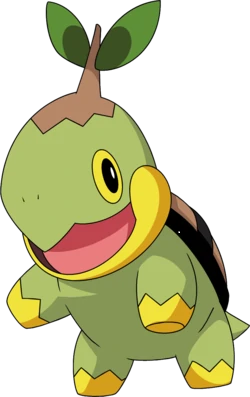 turtwigwins