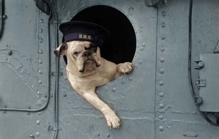 Old-Seadog