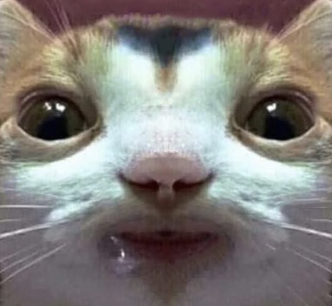 aux