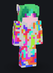 Front view skin