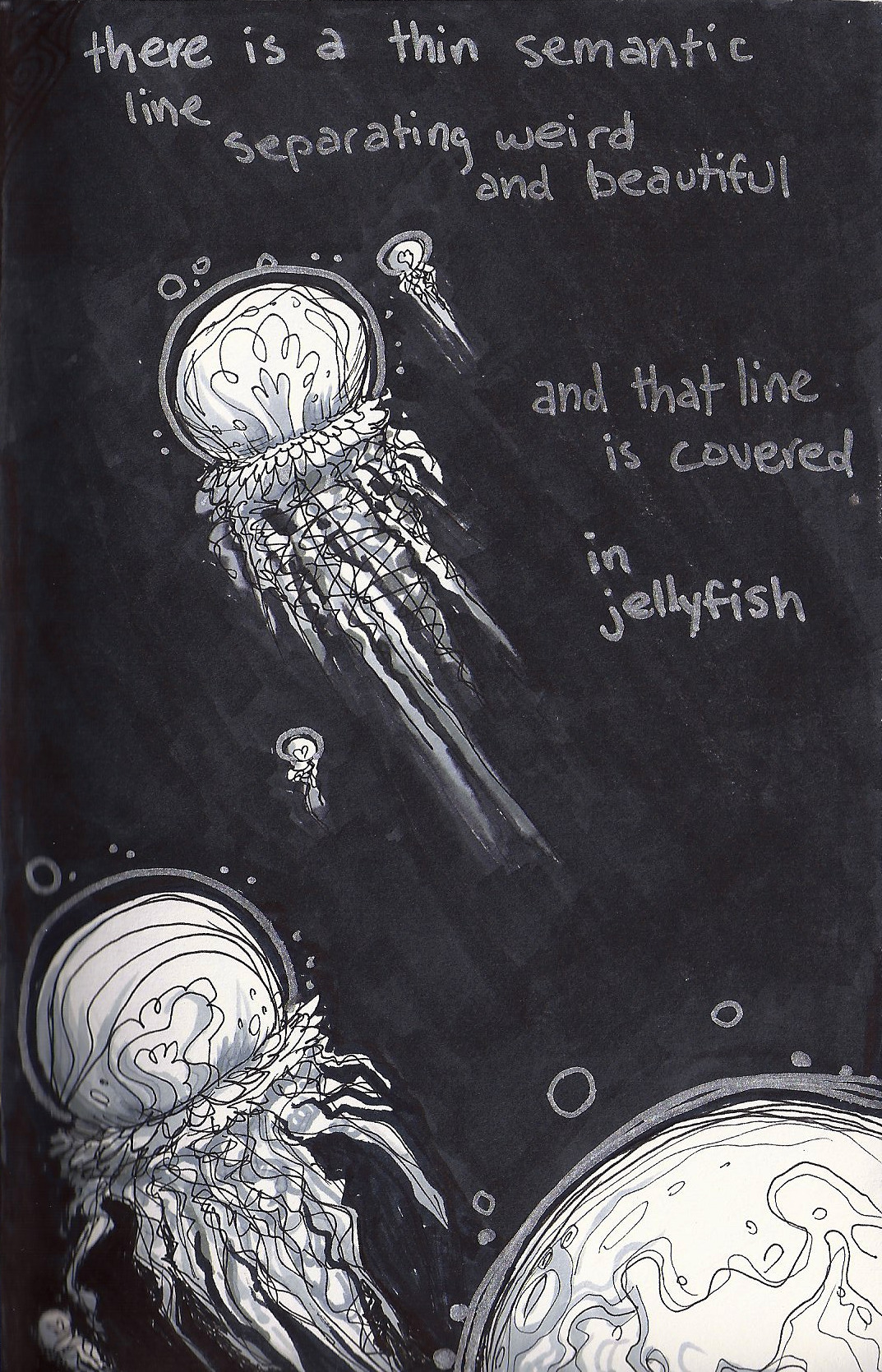A black-and-white render of jellyfish swimming upwards. A quote in the image, from the podcast Welcome to Nightvale, reads: "There is a thin semantic line separating weird and beautiful, and that line is covered in jellyfish." Art by junkalopes on Tumblr.