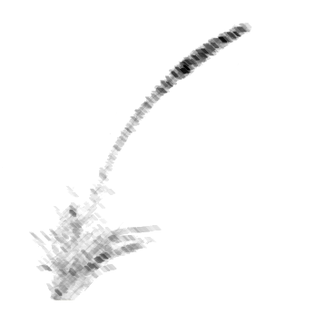 CharcoalLiatrisFlower